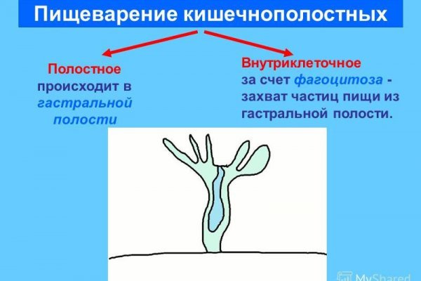 Кракен наркошоп сайт