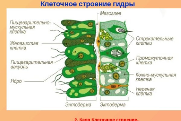 Krakin12 at