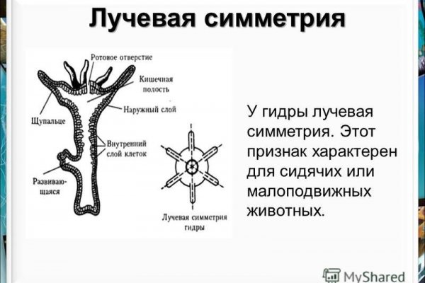 Маркет плейс кракен маркетплейс