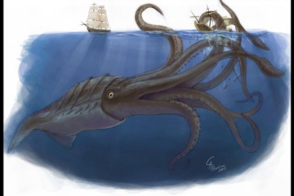 Kraken 17at