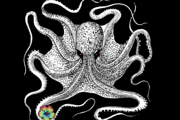 Ссылка для входа на сайт kraken
