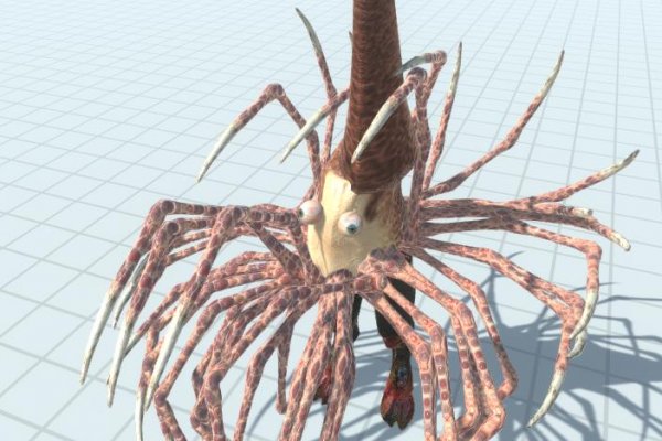 Kraken официальные зеркала