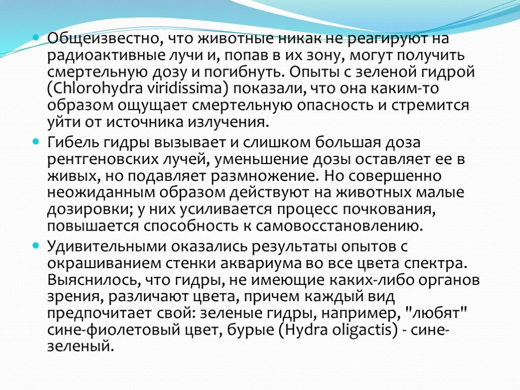 Как войти на кракен